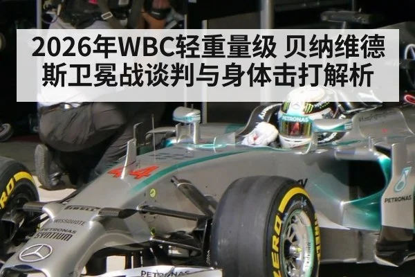 2026年WBC轻重量级 贝纳维德斯卫冕战谈判与身体击打解析